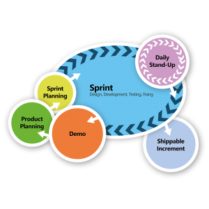 The Agile Process